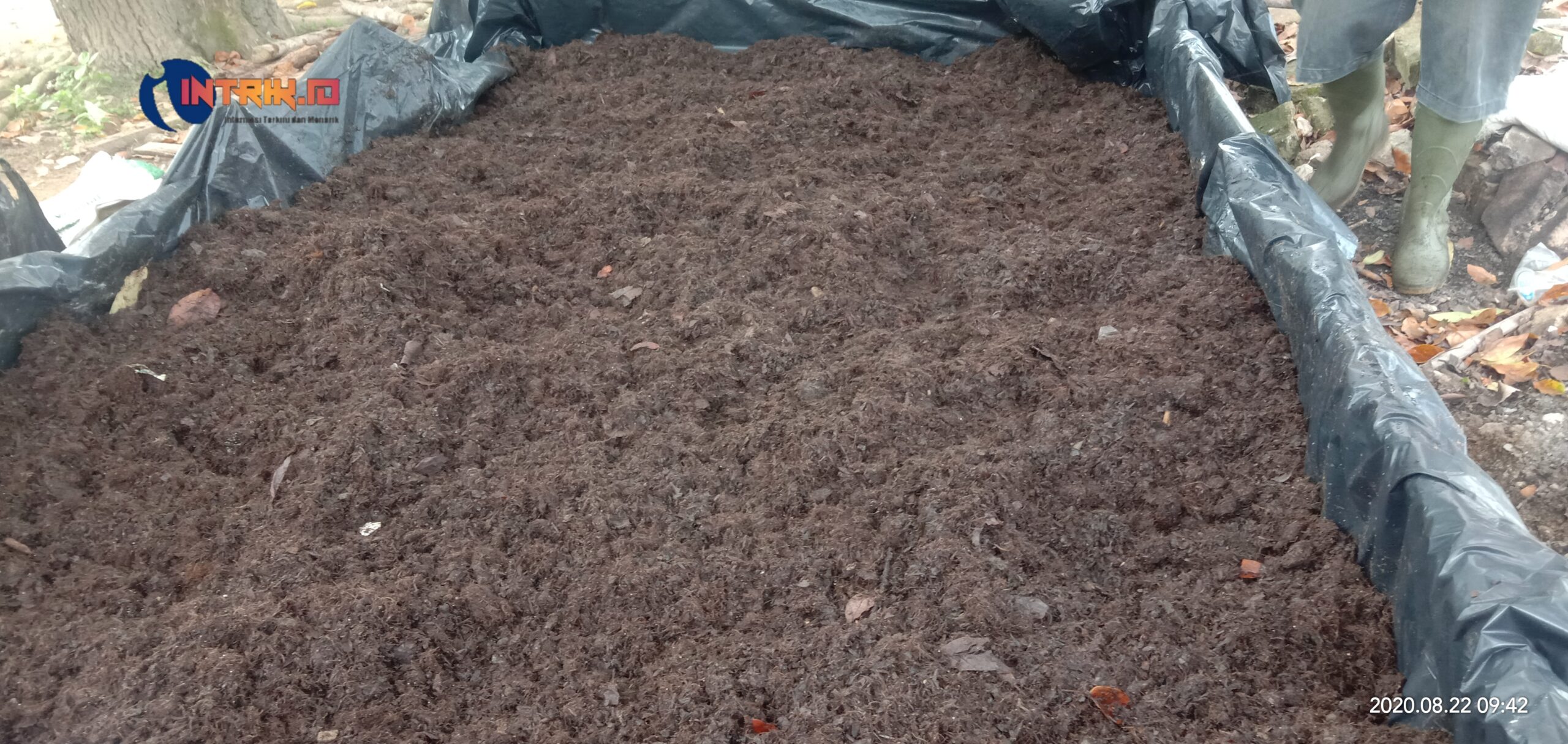 Ini Peran Bahan Organik dan Unsur Hara Didalam Lapisan Tanah