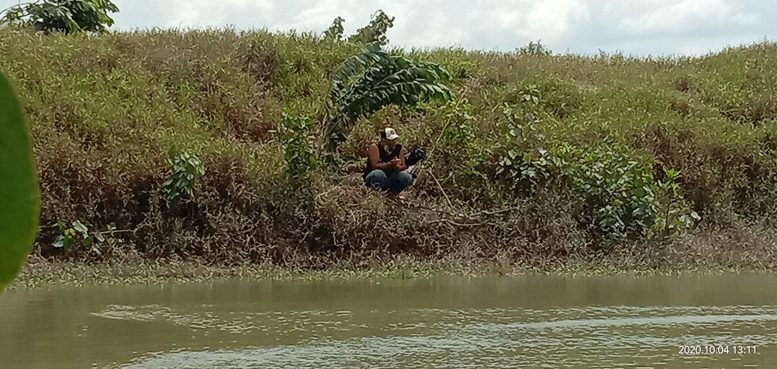 Manfaatkan Ranting Pohon Hindari Teriknya Sinar Matahari