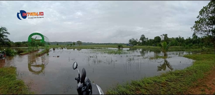 146 Hektare Lahan Sawah di Kabupaten Bangka Terendam Banjir