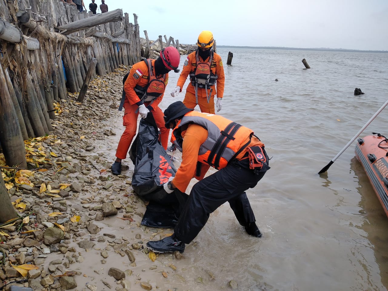 Empat Hari Hilang Diterkam Buaya, Dandi Ditemukan di Hutan Bakau