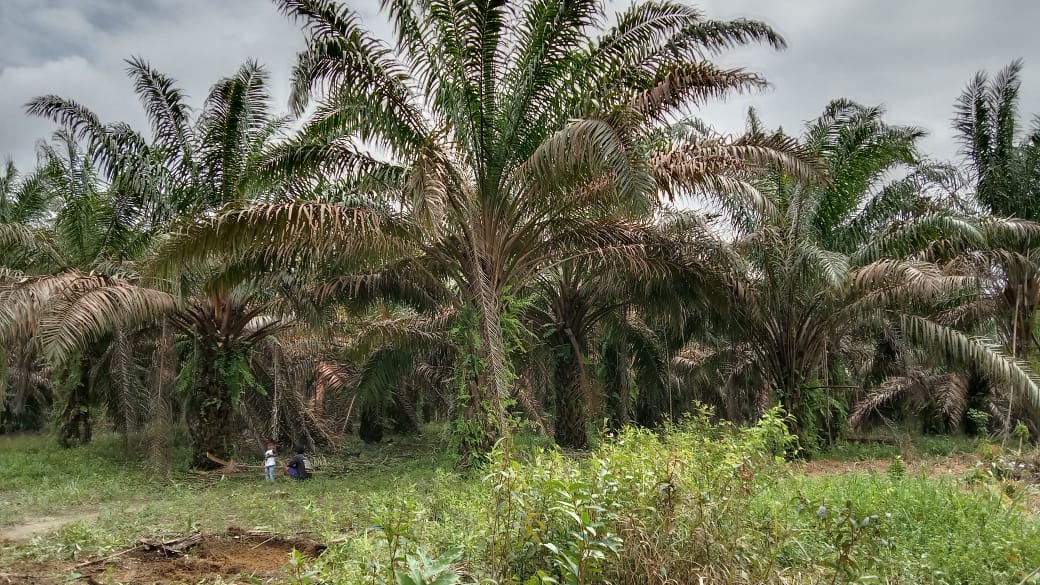 PPSR Tahap Pertama Gelontorkan Miliaran Rupiah