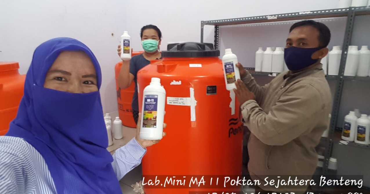 Poktan Sejahtera Produksi Ribuan Liter Bakteri MA – 11