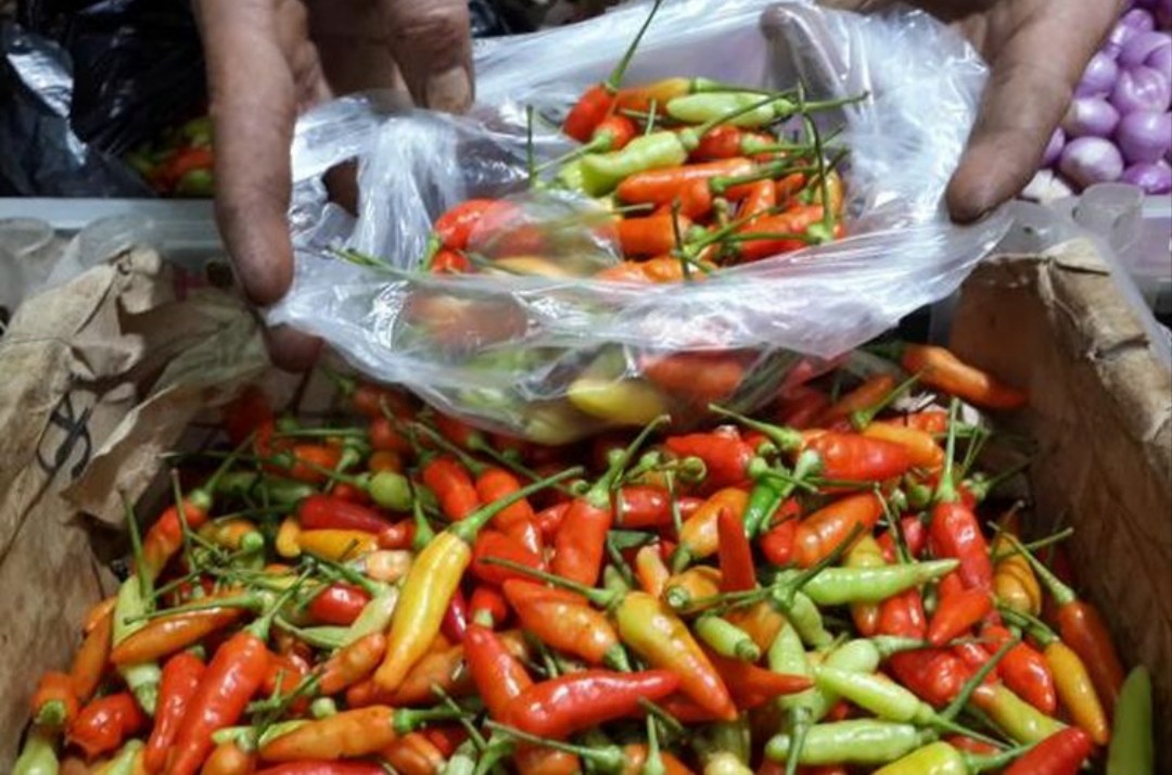 Waspada Cabai Rawit Palsu, Diberi Warna Merah Pakai Pakai Cat Semprot