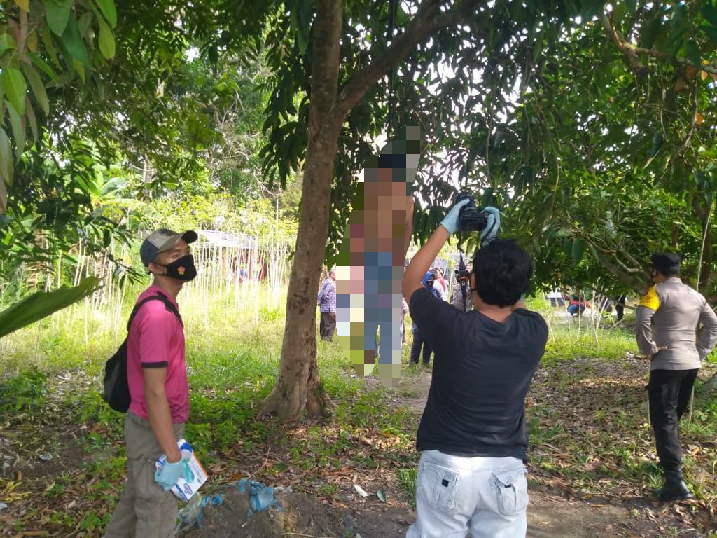Hamili Adik Ipar, Pria 39 Tahun Gantung Diri di Pohon Akasia