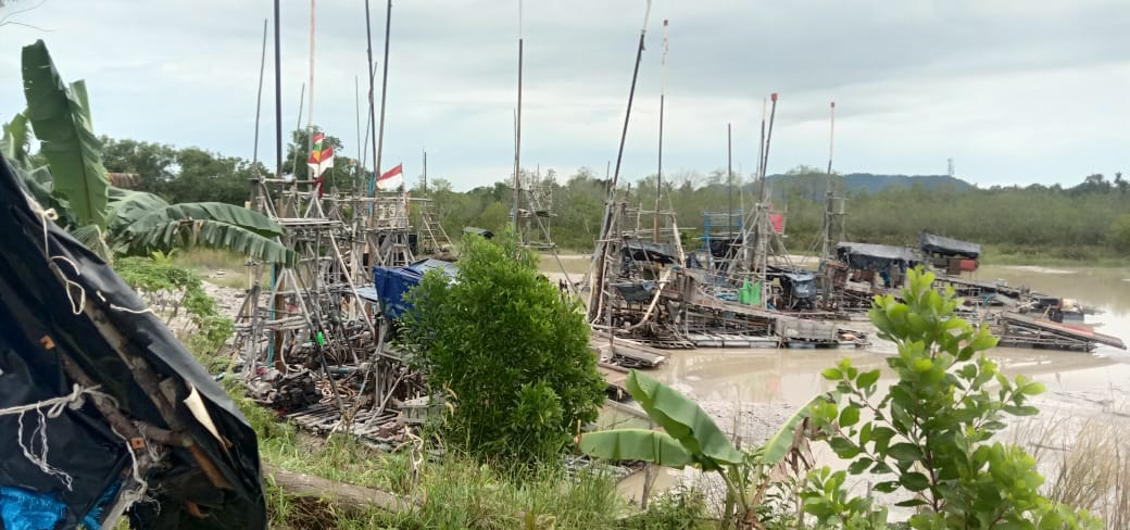 Puluhan Unit TI Garap Lahan Pemkab Bangka, Timgab Lakukan Penertiban