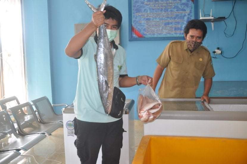 Di Bazar Ini, Tenggiri Hanya Rp 55 Ribu