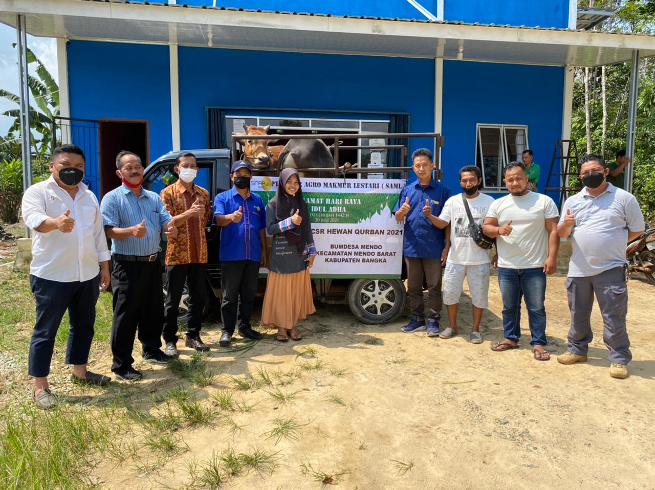 PT SAML Barikan Empat Sapi Ke Pemkab Bangka dan Pemdes Mendo