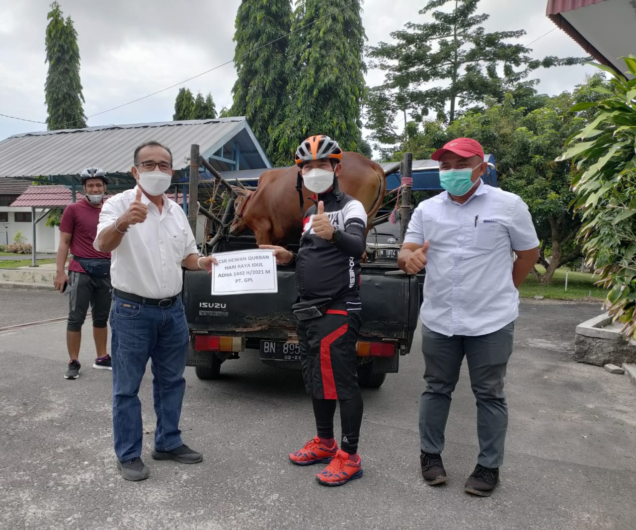 PT GPL Serahkan Satu Ekor Sapi, Kepada Pemkab Bangka