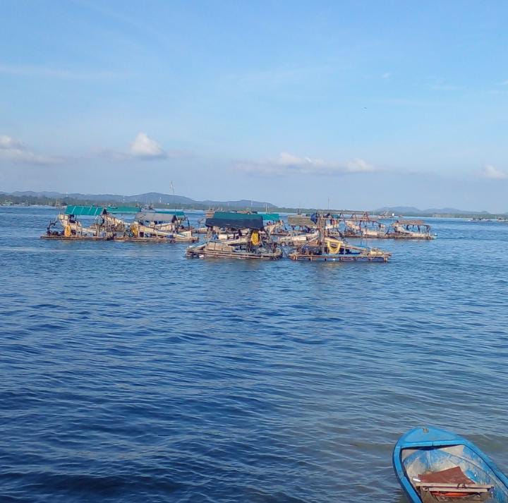 Polsek Belinyu Akan Selidiki, Aktivitas TI Selam Teluk Kelabat