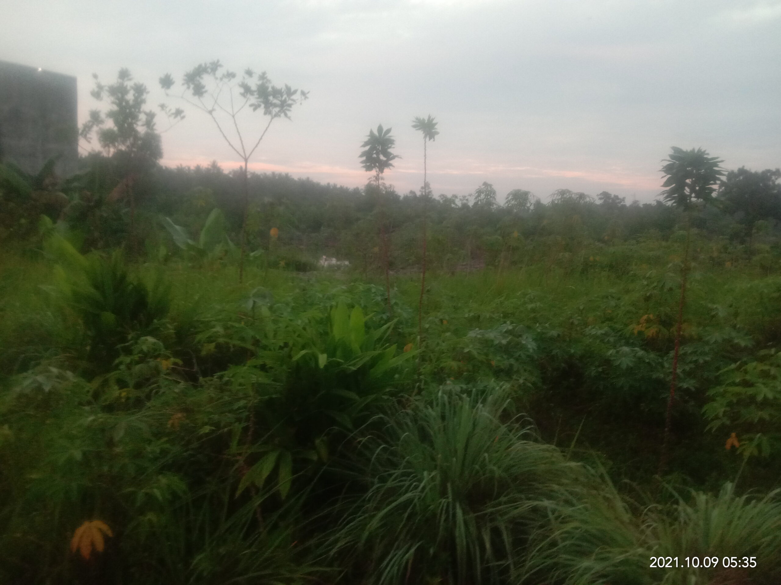 Dulu Lokasi Ini TI Sering Dirazia, Mungkinkah Akan Dibuka Tambang Lagi?