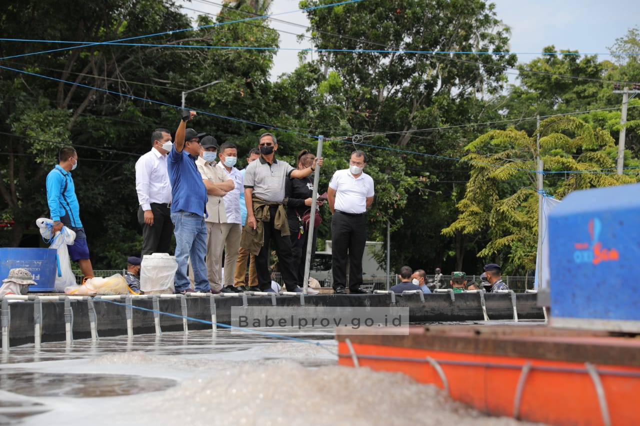 Kunjungi Tambak Udang Milenial BPBAP Situbondo, Gubernur Bakal Kirim Peserta Pelatihan IPAL