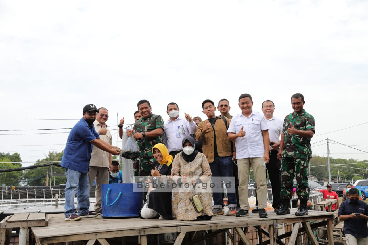 Dampingi Wakasal, Gubernur Panen Perdana Udang Vaname dengan Sistem Oxibam