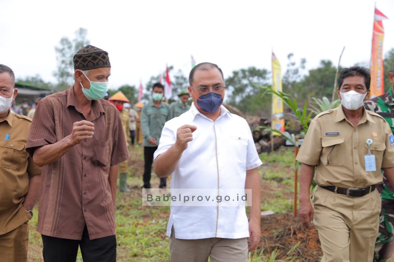 Gubernur: Masing-Masing Petani Dapat Bantuan 30 Juta Per Hektar