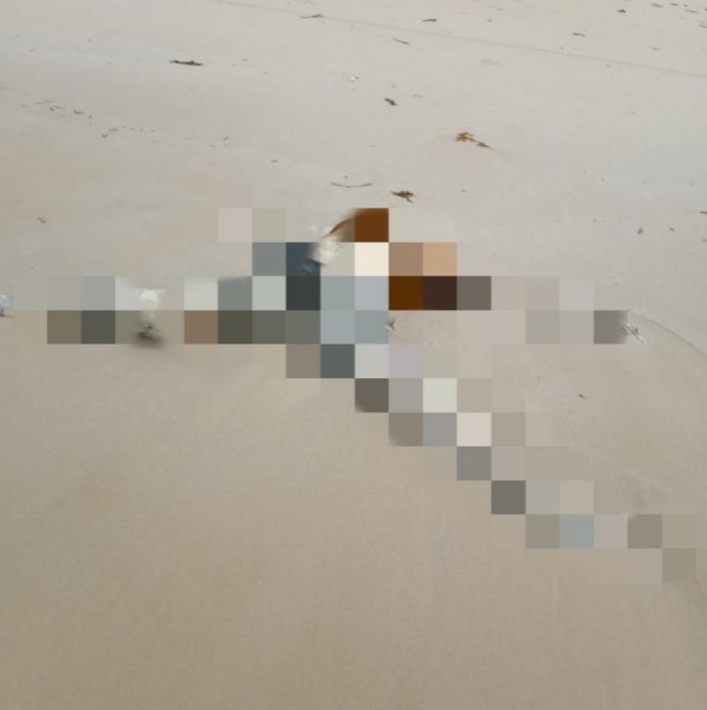 Dalam Seminggu, Dua Mayat Tanpa Identitas Ditemukan Tak Utuh di Pantai Tanjung Berikat