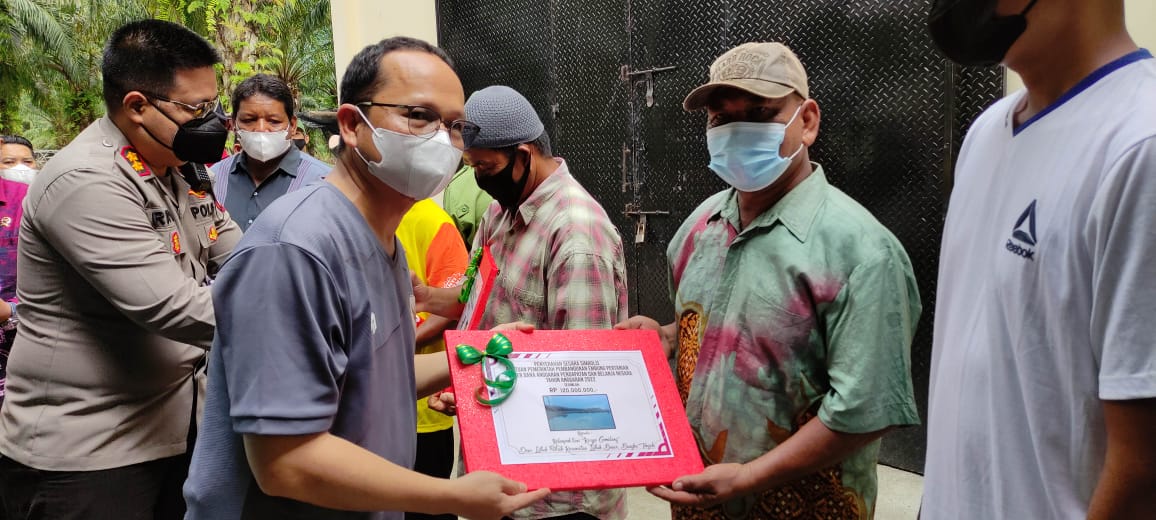 Tujuh Hektar Kebun Jagung Budiman Hanya untuk Pakan Ternak