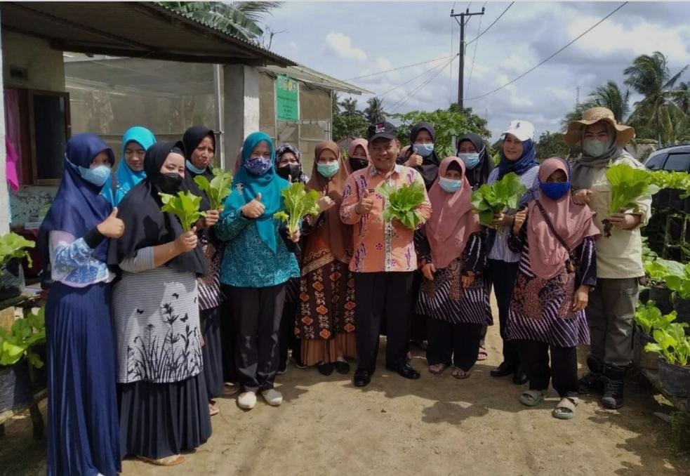 TP PKK Bateng Panen 40 Kilogram Sawi Program P2L