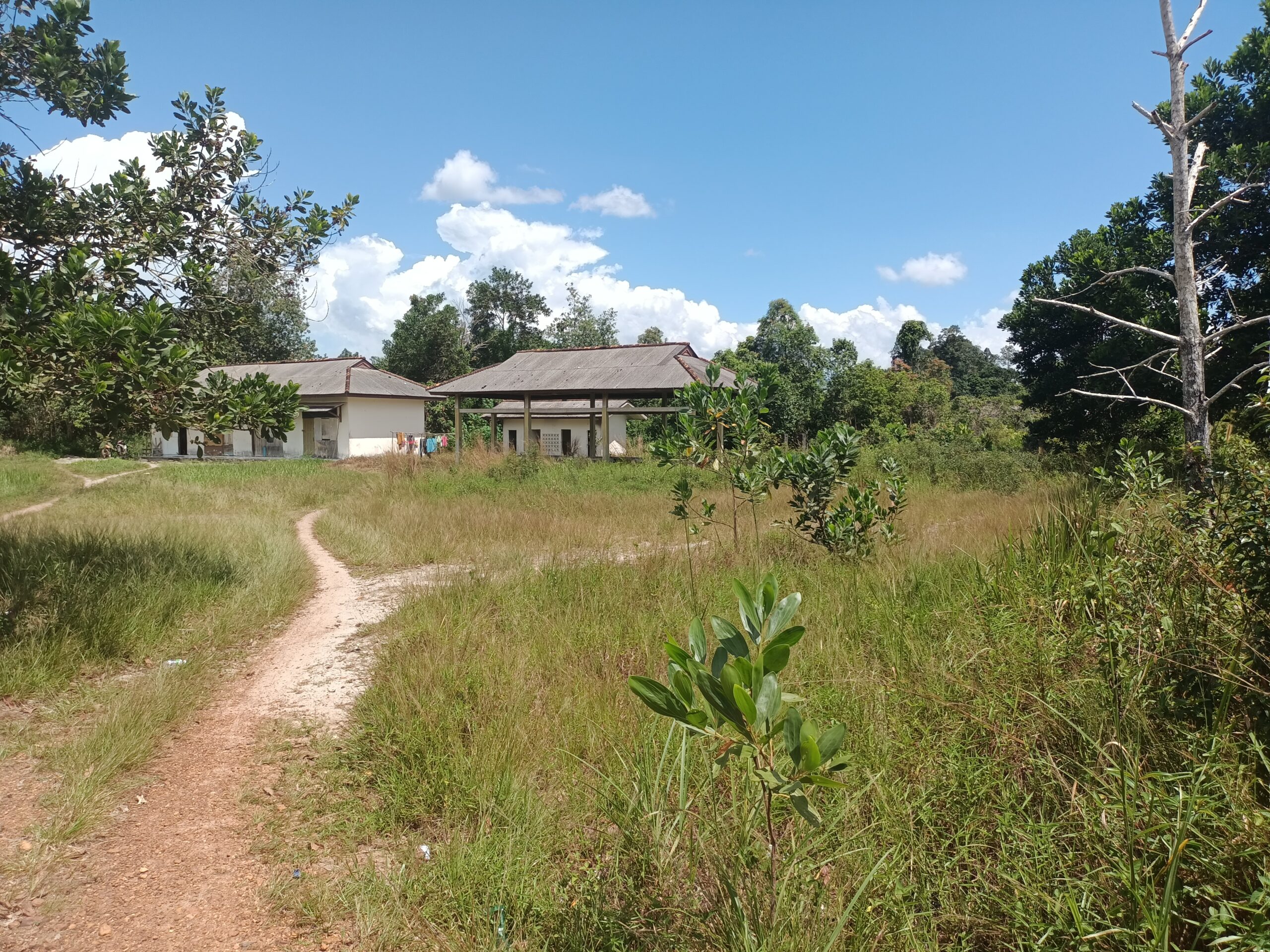 Habiskan Anggaran Ratusan Juta Rupiah, Pasar ini Ditumbuhi Semak Belukar !