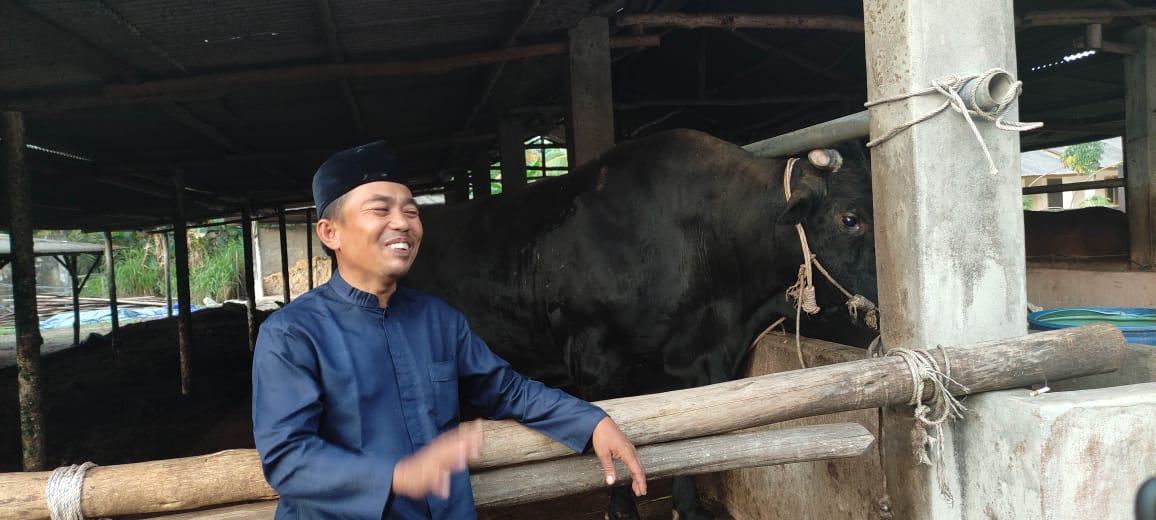 Peternak Sapi di Bangka Tengah Kaget dapat WA dari Istana Presiden
