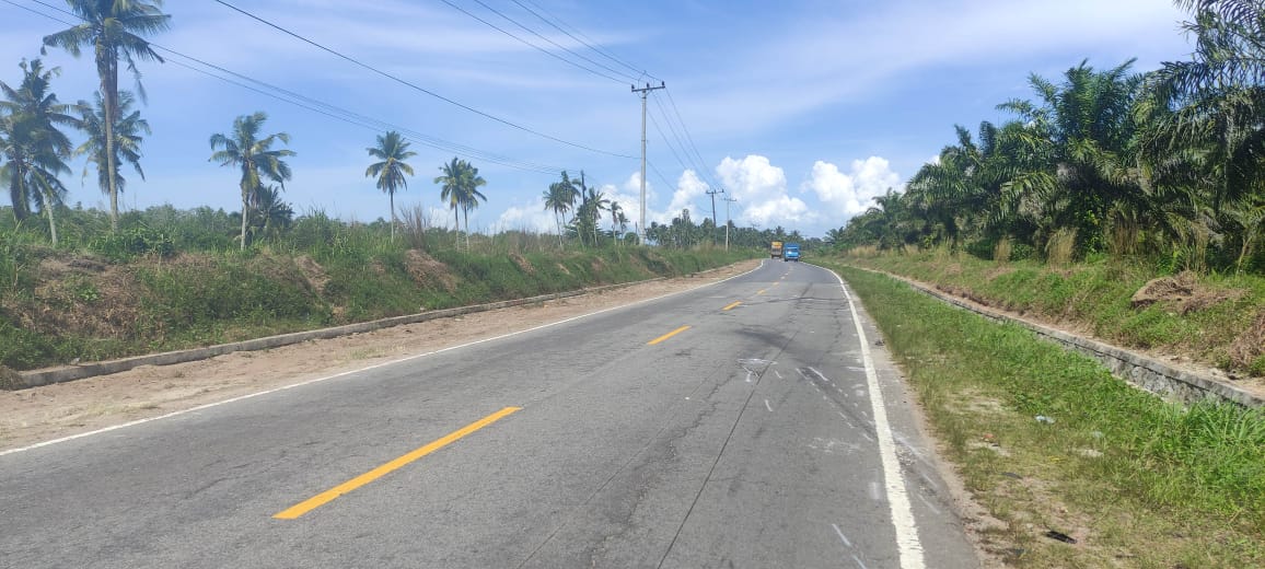 Temui Menteri PU, Algafry Ingin Pangkas Jalan Tanjung Pura-Sungaiselan