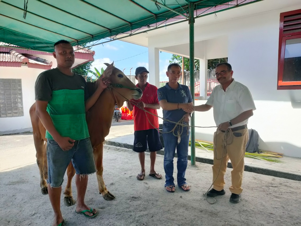 Group Manager PT GPL , Serahkan Hewan Qurban Kepada Pemkab Bangka