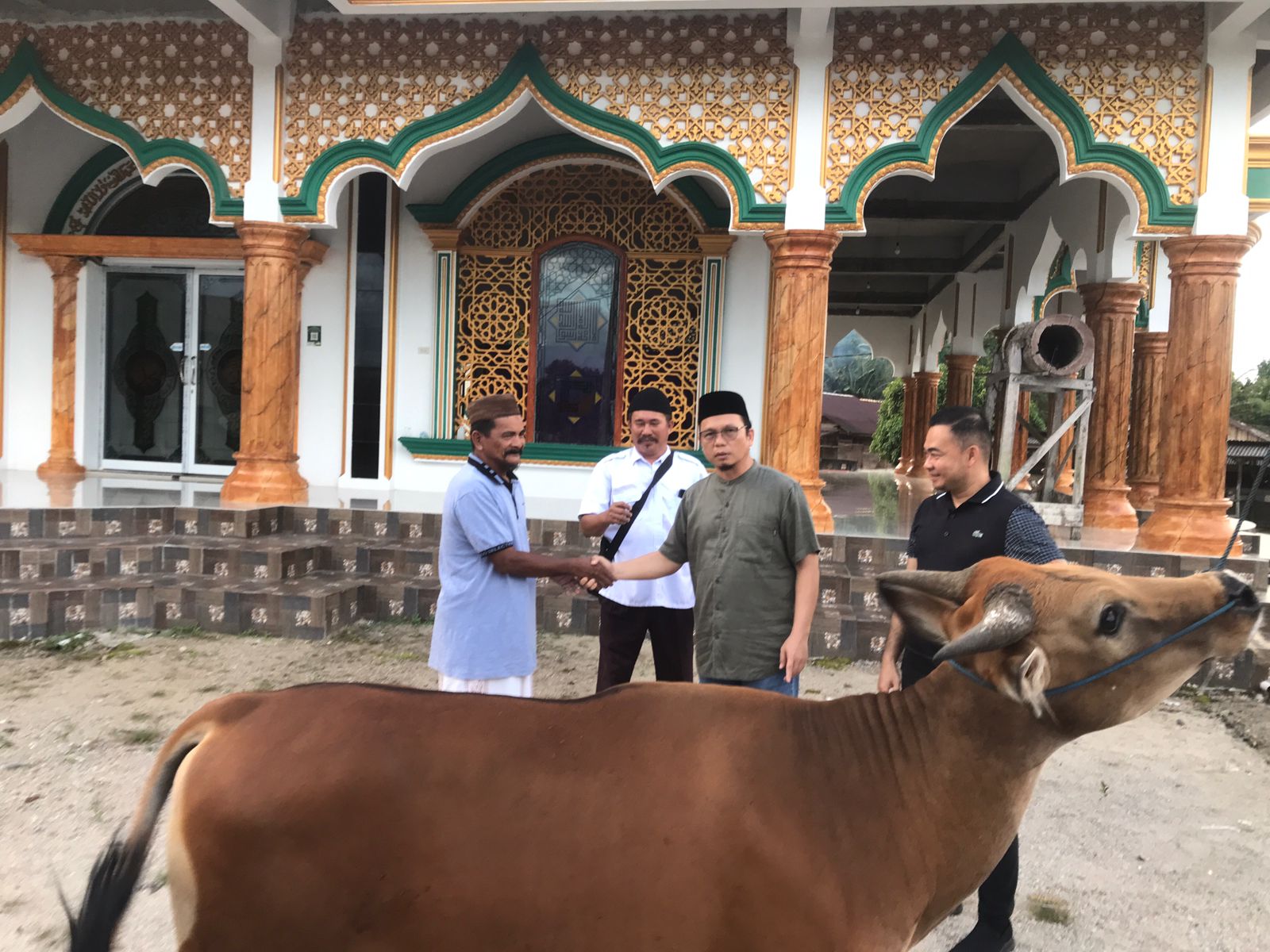 Algafry Turut Serahkan Sapi ke Empat Mesjid di Koba dan Kulur