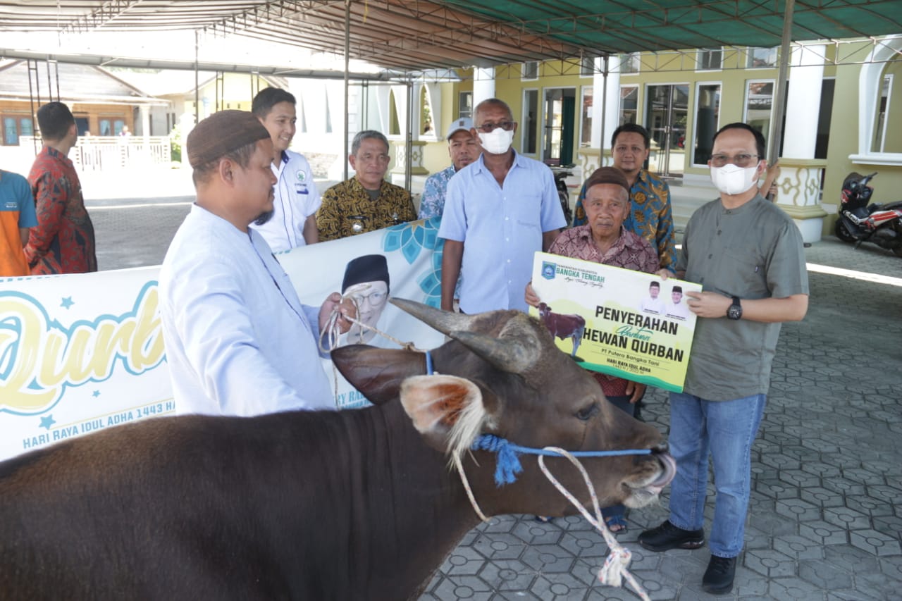 Algafry Serahkan 63 Sapi Ke Seluruh Desa dan Kelurahan