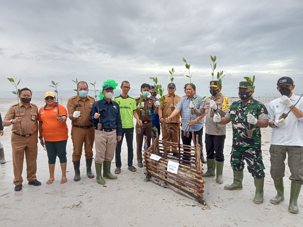 Hutan Mangrove Babel Masa Depan Dunia