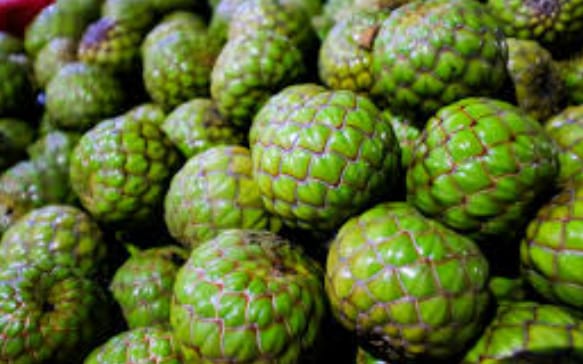 Buah Sagu Cemilan Legendaris