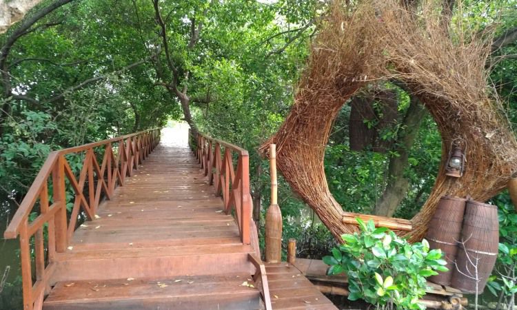 mangrove surabaya