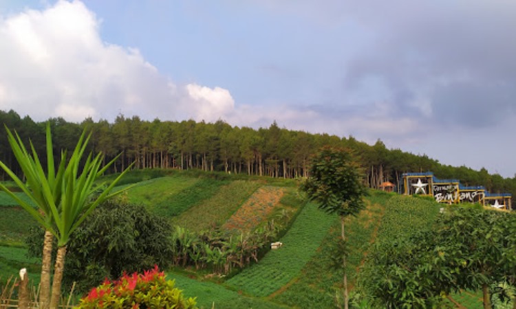 Keindahan Bukit Moko Bandung, dengan Pesona Alam dan Lanskap Kota dari Ketinggian
