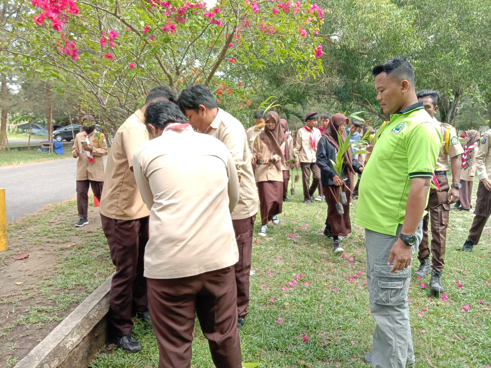 Seribu Pohon Pinang Hijaukan Pantai Matras
