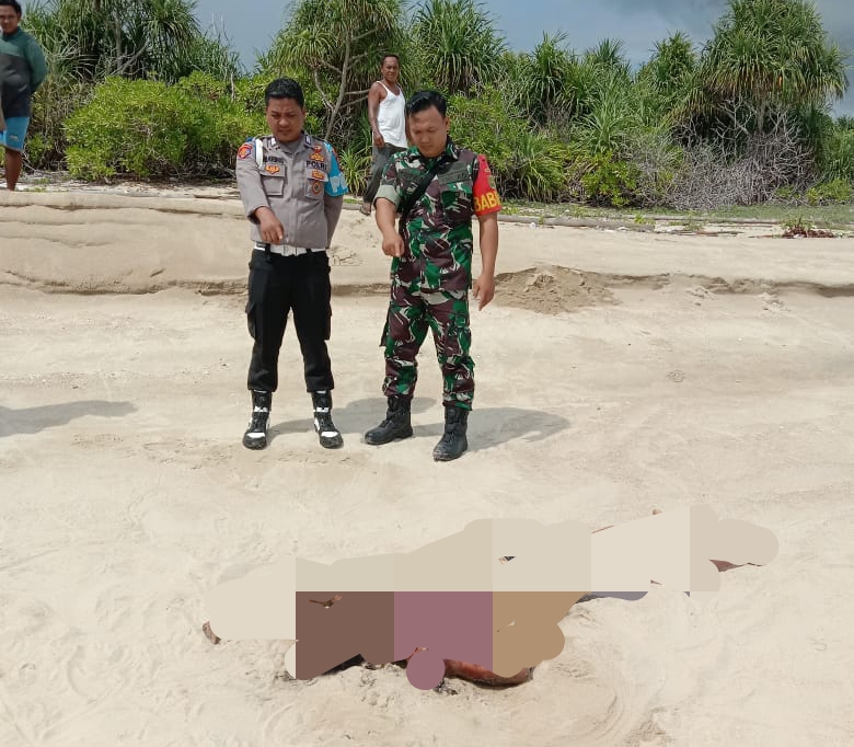 Gaji Tak Sesuai, Rafi Nekat Terjun Dari Kapal