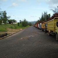 PT GPL Tampung 500 Ton Satu Hari TBS Petani Mandiri