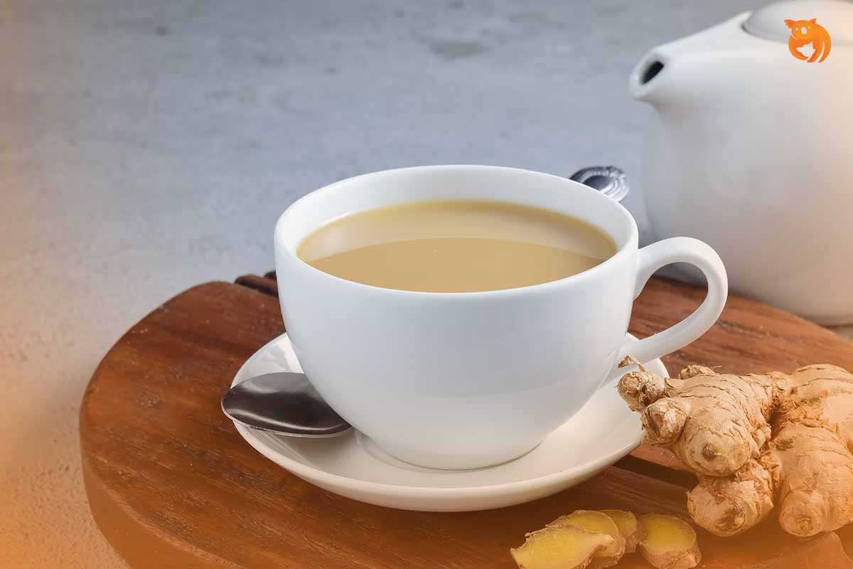 Ini Manfaat Susu Jahe Untuk Tubuh dan Cara Membuatnya