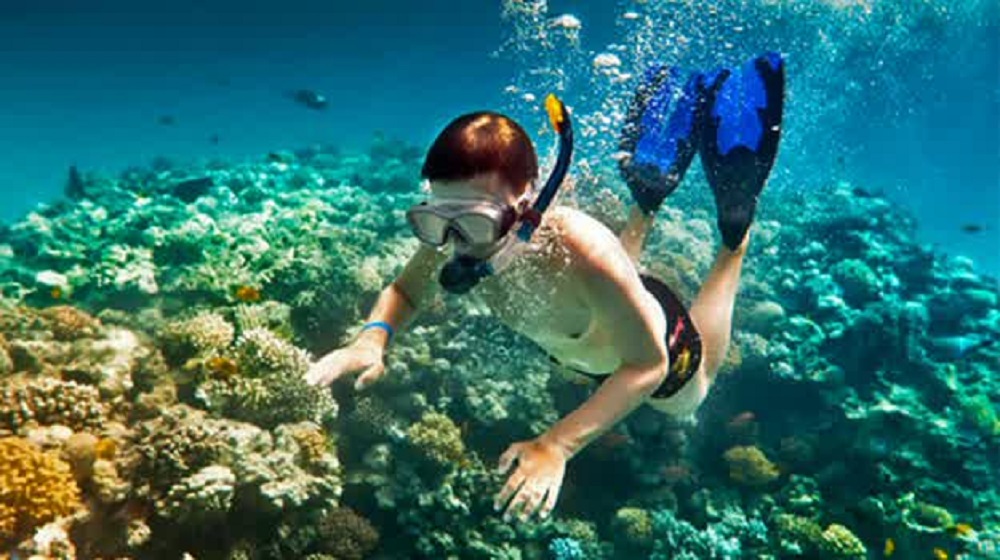 Tak Perlu Takut! Ini Tips Olahraga Snorkeling untuk Para Pemula