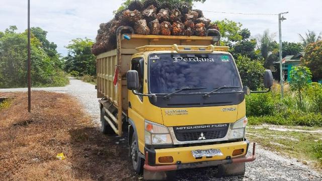 Truk Sawit Over Kapasitas, Warga Hampir Tertimpa