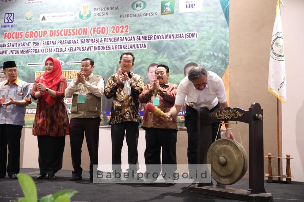 Ridwan Djamaluddin Minta Petani Sawit Manfaatkan Peluang