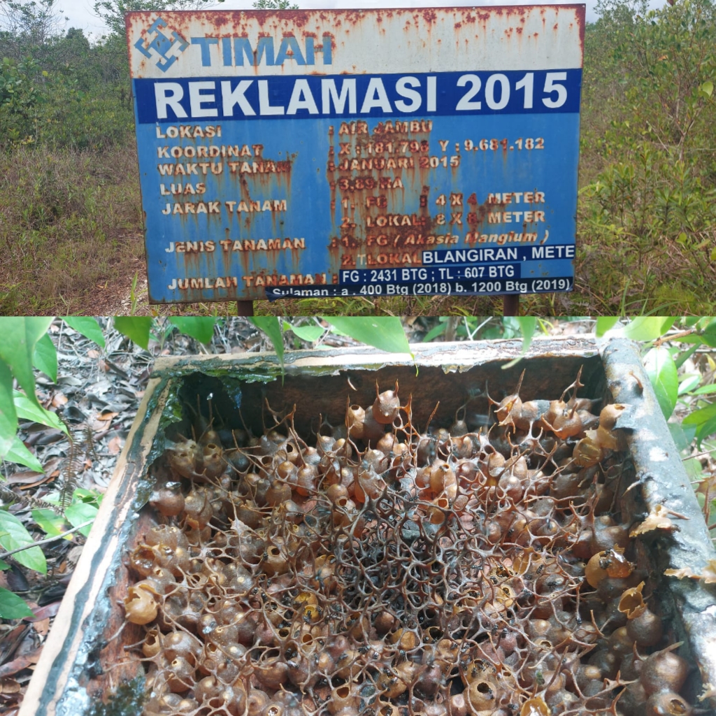 Manfaatkan Lahan Reklamasi PT Timah, Komunitas Raje Teran Belitong Bakal Dirikan Pariwisata Lebah