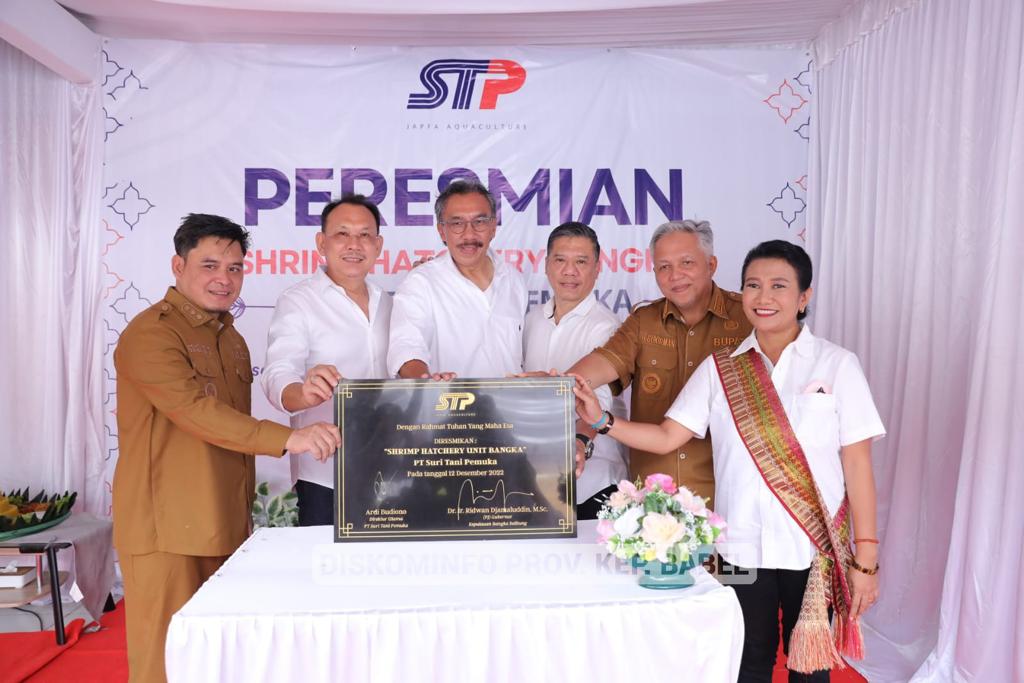 Gunakan Teknologi Modern, Shrimp Hatchery Penuhi Permintaan Pasar Benur Vaname