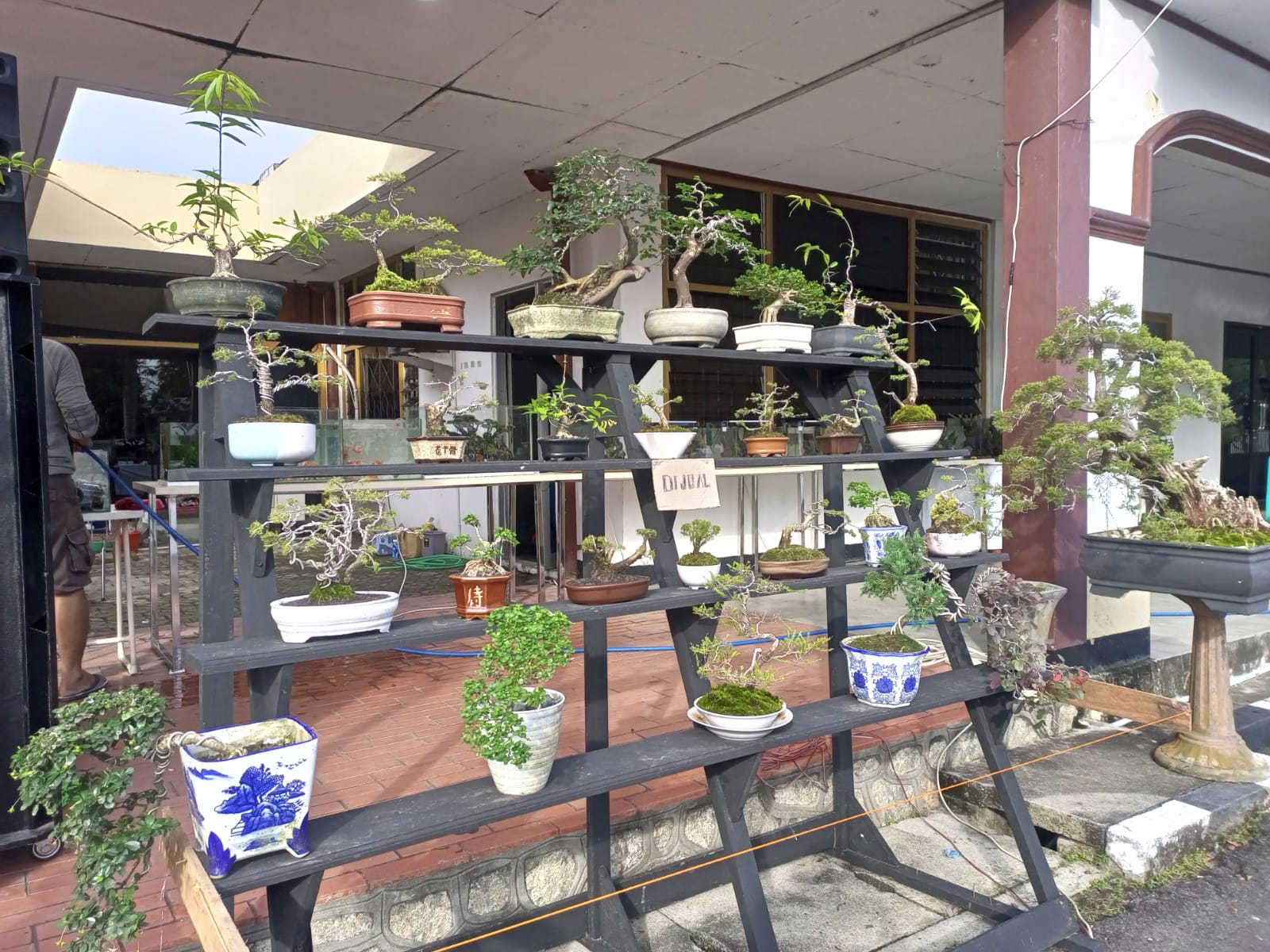 Dorong Laju Ekonomi Masyarakat, PT Timah Dukung Pameran Bonsai dan Aquascape