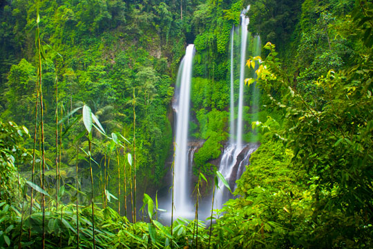 Air Terjun Sekumpul Bali, Menyimpan Pesona Keindahan Alam Tersembunyi