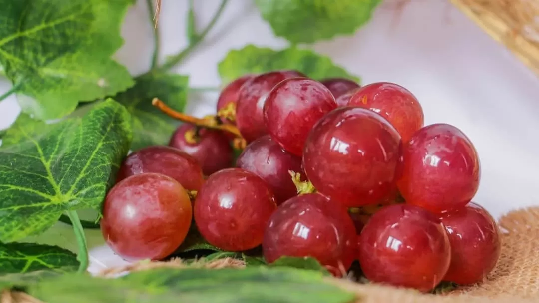 Inilah 7 Manfaat Buah Anggur Bagi Kesehatan, Membantu Menurunkan Berat Badan