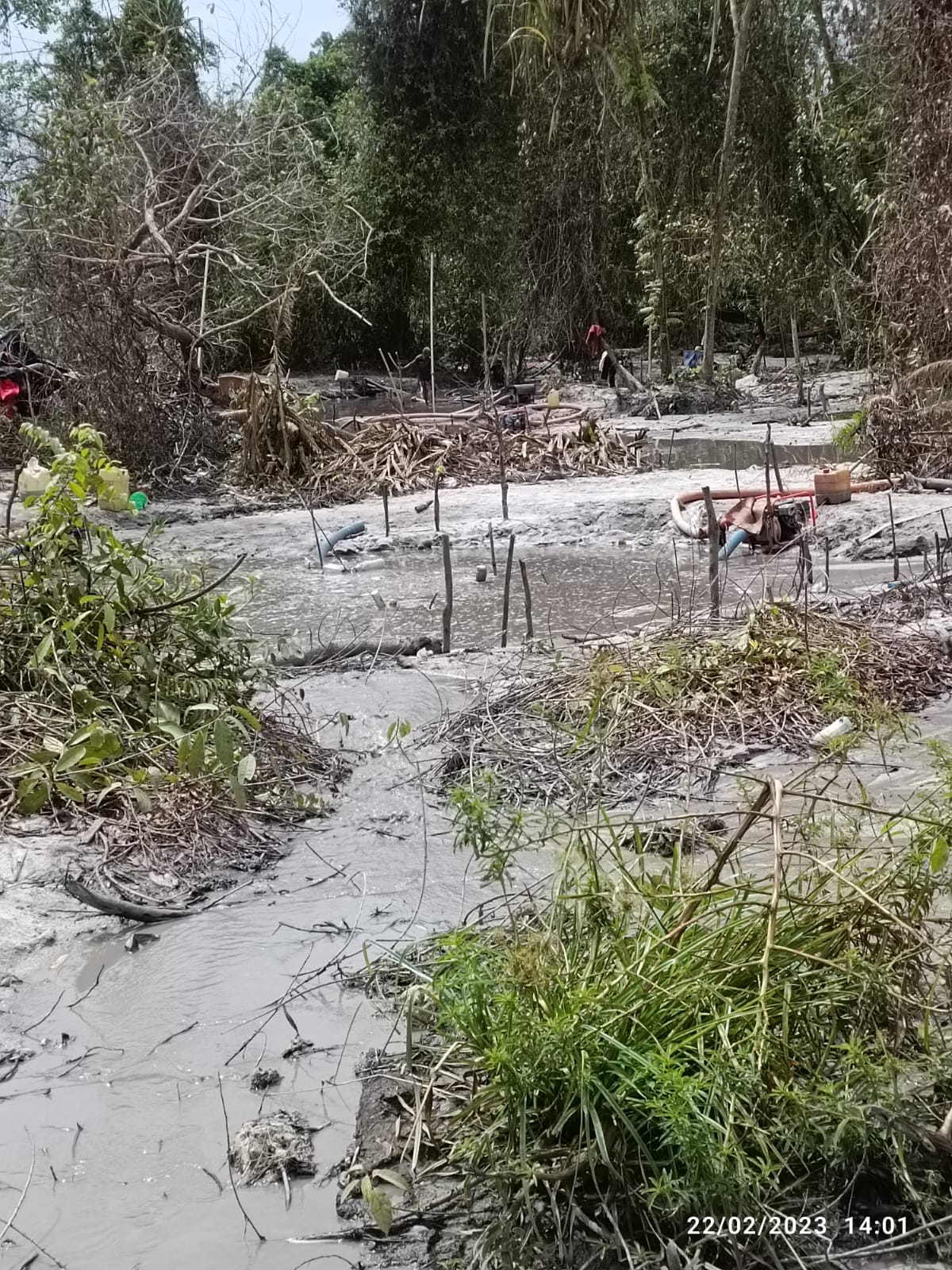 PT Timah Tidak Pernah Izinkan Masyarakat Nambang di Wilayah Perkantoran Bangka Tengah