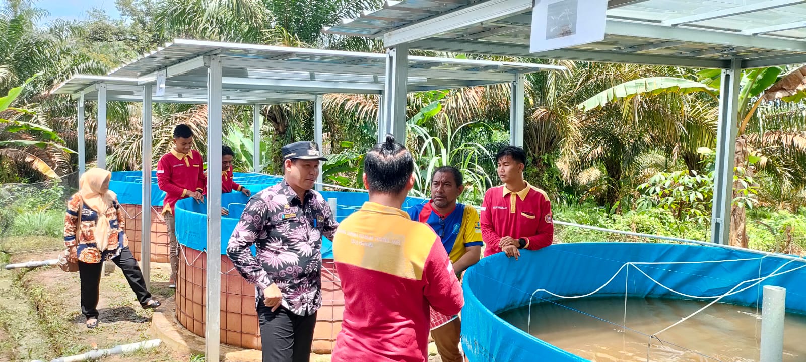 Karang Taruna Desa Petaling Jaya, Kembangkan Lele Sistem Bioflok