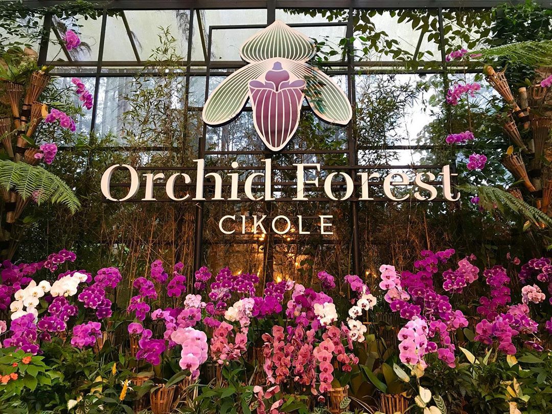 Orchid Forest Cikole, Taman Anggrek Terluas dan Terindah di Lembang