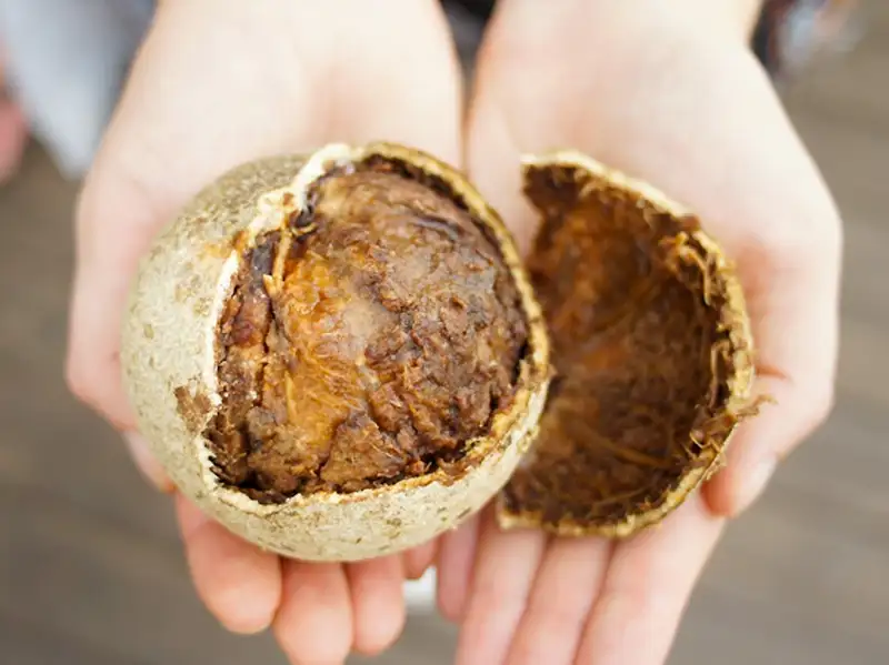 4 Manfaat Buah Kawista, Ampuh Mengusir Demam hingga Diare