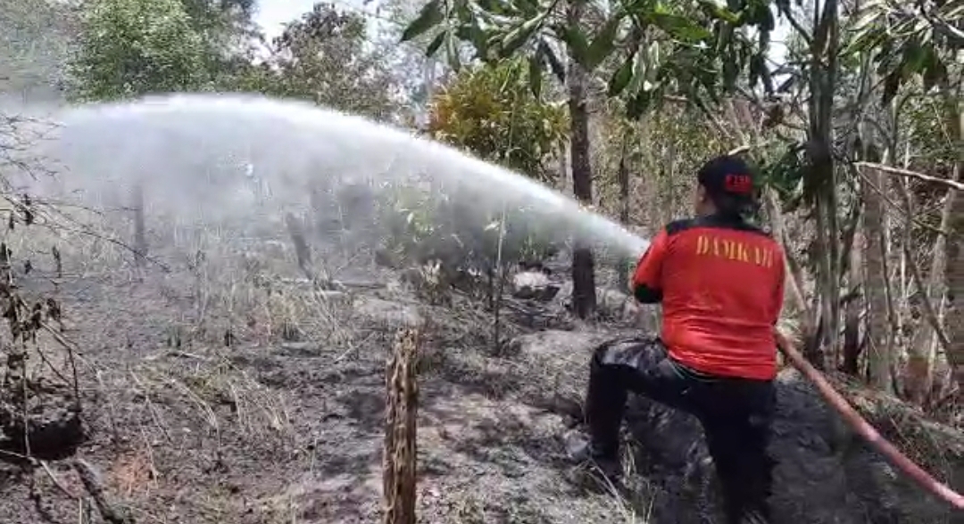 Lahan Perumahan Green Hill Terbakar