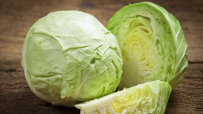 Cek 10 Manfaat Kubis untuk Kesehatan Jarang Diketahui, Jangan Lewatkan!