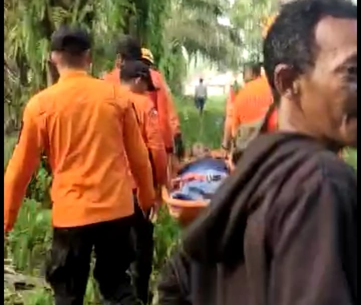 Semalaman Hilang di Kebun Sawit, Pria 70 Tahun Ini Akhirnya Ditemukan