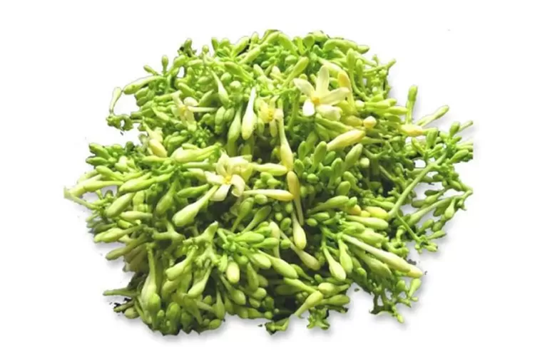 4 Manfaat Bunga Pepaya, Memiliki Antioksidan Tinggi dan Ampuh Mengontrol Kolesterol